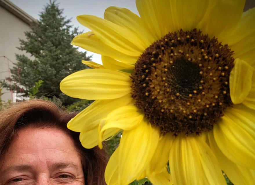 Ellis with a sunflower in the Northglenn garden